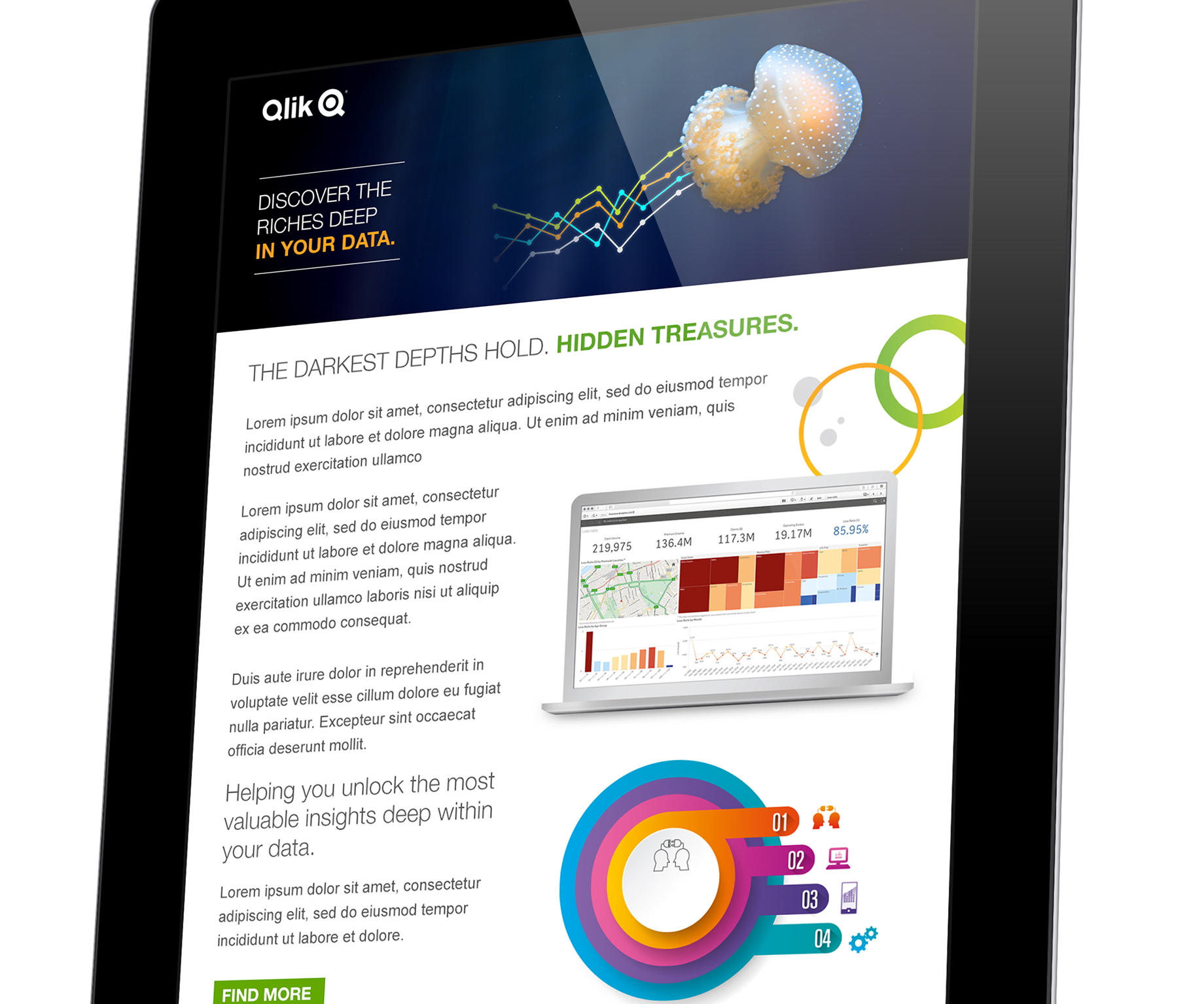 qlik